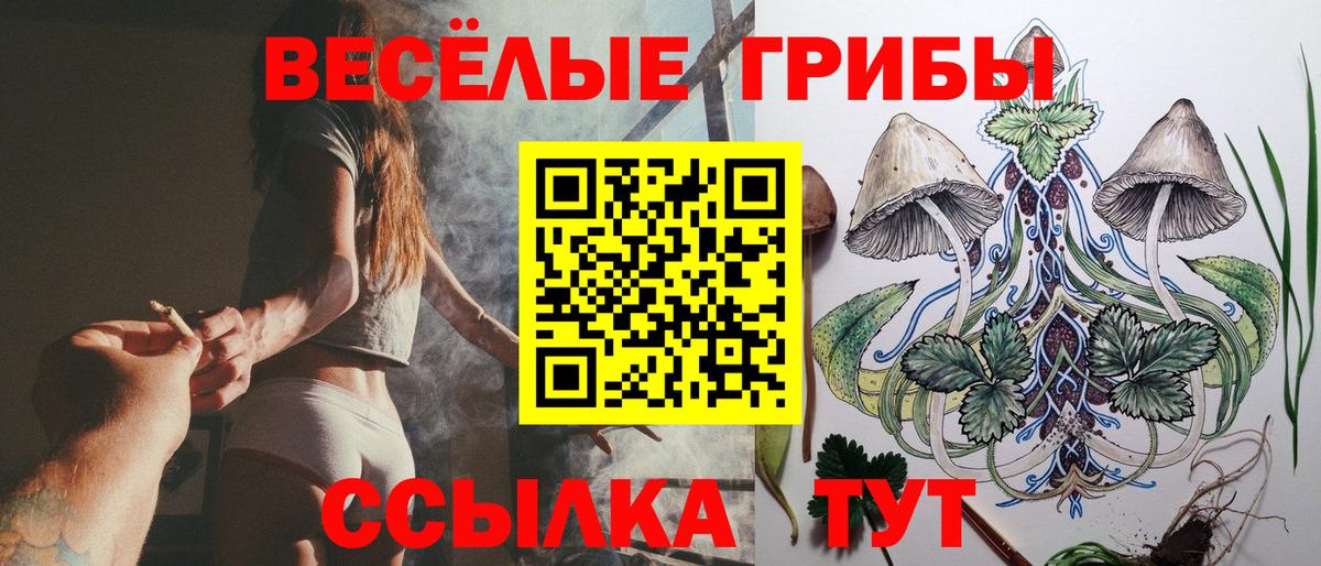 хочу   Вход с VPN  Зерноград  Галлюциногенные грибы Cubensis  Псилоцибиновые грибы мухоморы 