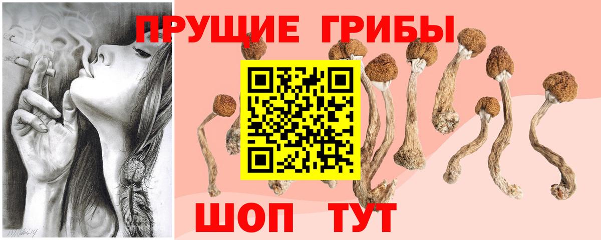 Псилоцибиновые грибы GOLDEN TEACHER Зерноград